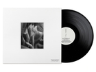 The Inventory Of Our Desire Limited Edition 12
